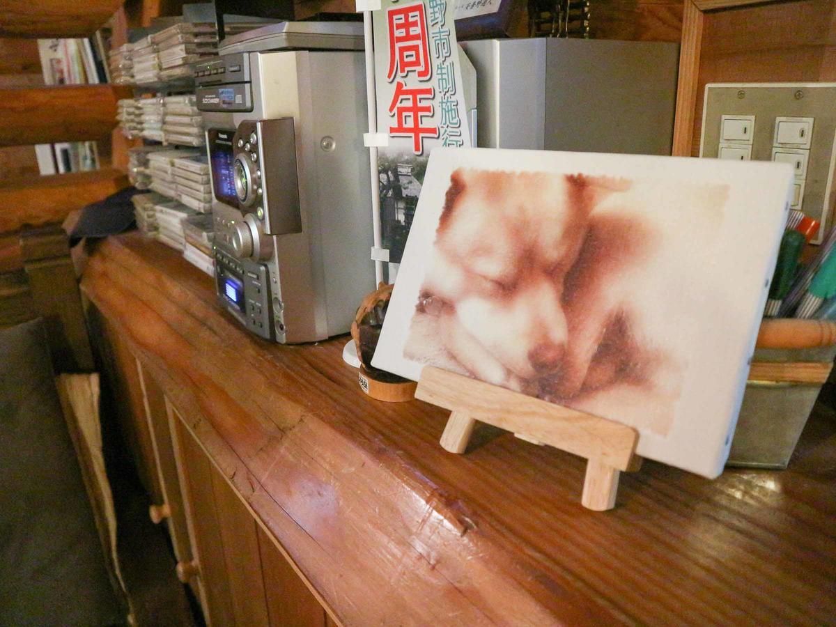 カナディアンログハウスの宿　安曇野遊人 安曇野市 エクステリア 写真